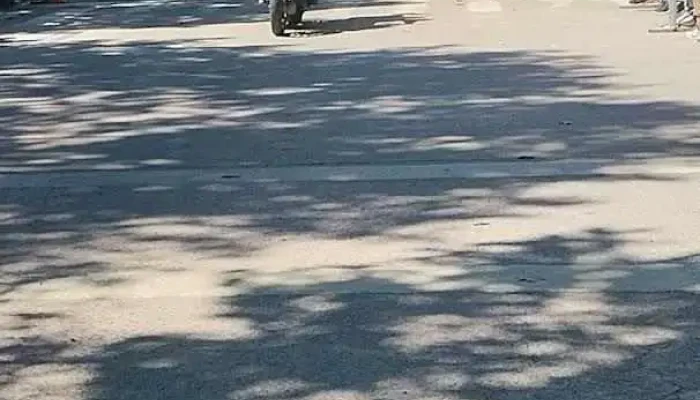 Lo De Maria Mas Recientes - Mariscala