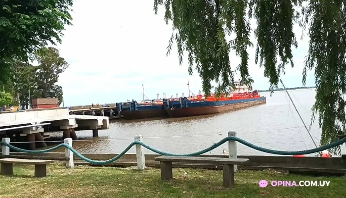 Lo De Olga Nautico Sport Videos - Juan L. Lacaze