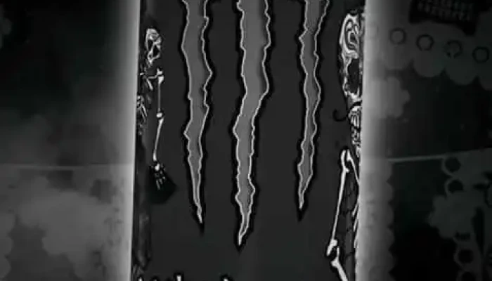 Lo De Raquel -  Videos - Montevideo