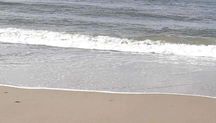 Lo De Santi Pizzas Ex Bar Orlando Comentario 1 - Montevideo