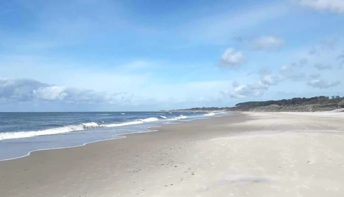 Lo De Santi Pizzas Ex Bar Orlando Comentario 2 - Montevideo