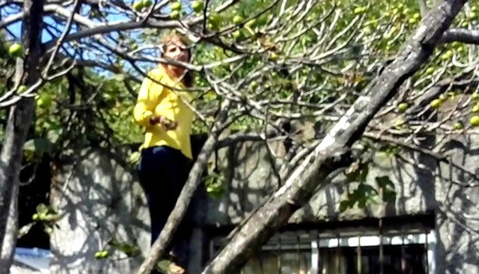 Lo De Santi Pizzas Ex Bar Orlando Comentario 7 - Montevideo