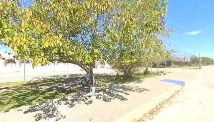 Lo De Walter -  Street View Y 360 - Chui