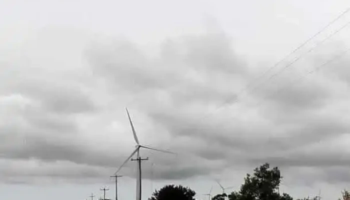 Lo De Walter -  Videos - Chui