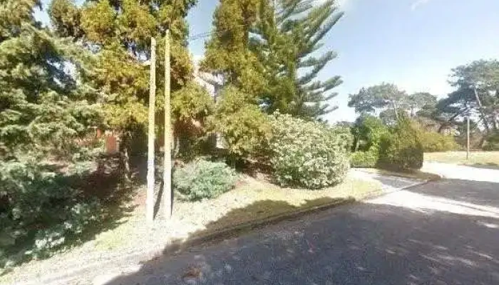 Lo Del Nutri -  Todo - Punta del Este