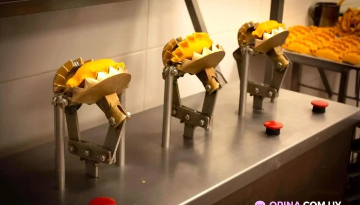 Lokotas -  Todas - Montevideo