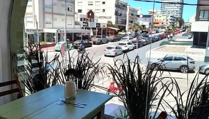 Lola Cantina Consciente -  Ambiente - Punta del Este