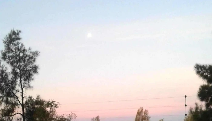 Lomas De La Tahona -  Sitio Web - Gral. Líber Seregni