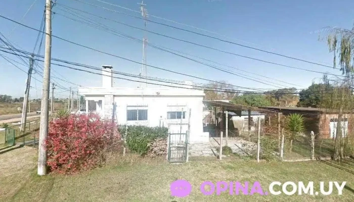 London Institute Progreso - Progreso