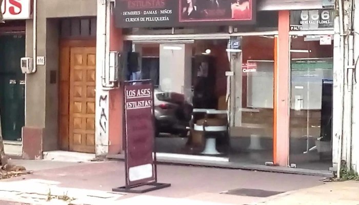 Los Ases - Av. Instrucciones Del Año Xiii