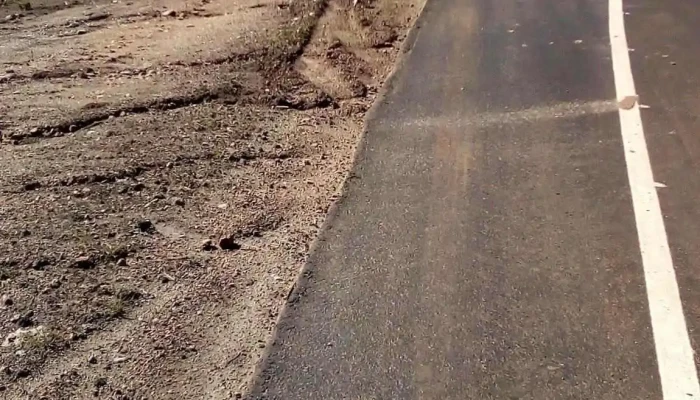 Los Cedros Whiskeria -  Todo - Empalme Olmos