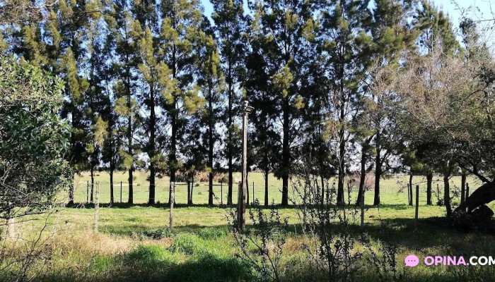 Los Cerrillos -  Todo - Los Cerrillos