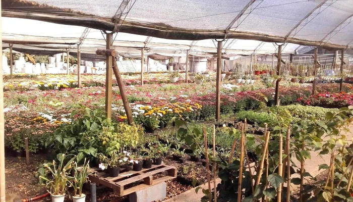 Los Helechos - Ruta 7