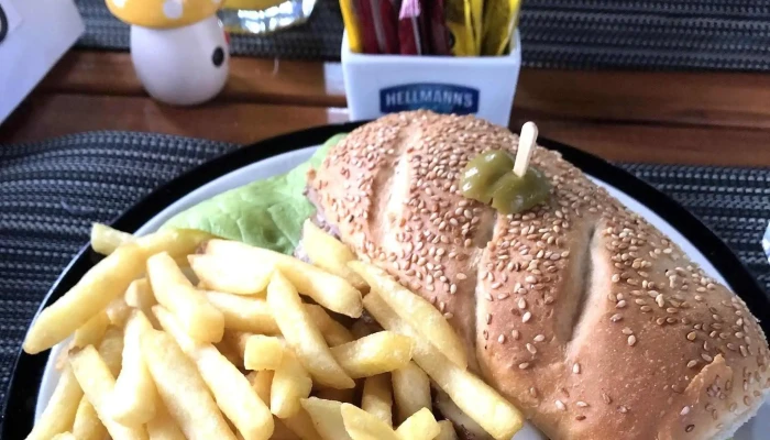 Los Kamikazes Colonia -  Comentario 1 - Col. del Sacramento