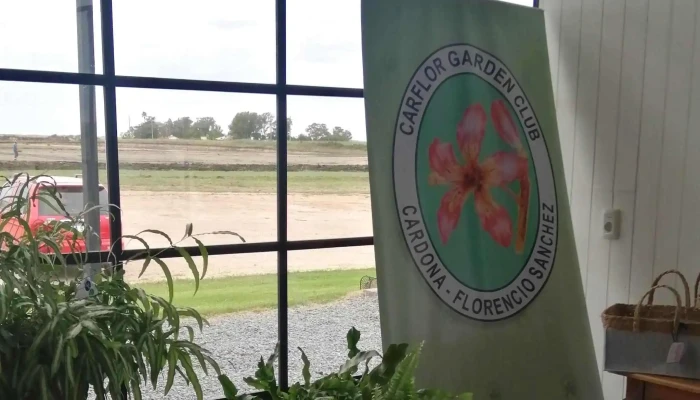 Los Molles Salon De Eventos Comentario 3 - Florencio S&aacute;nchez