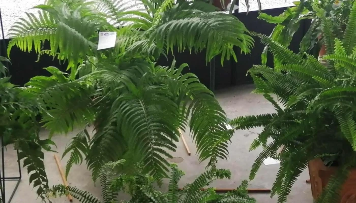 Los Molles Salon De Eventos Comentario 4 - Florencio S&aacute;nchez