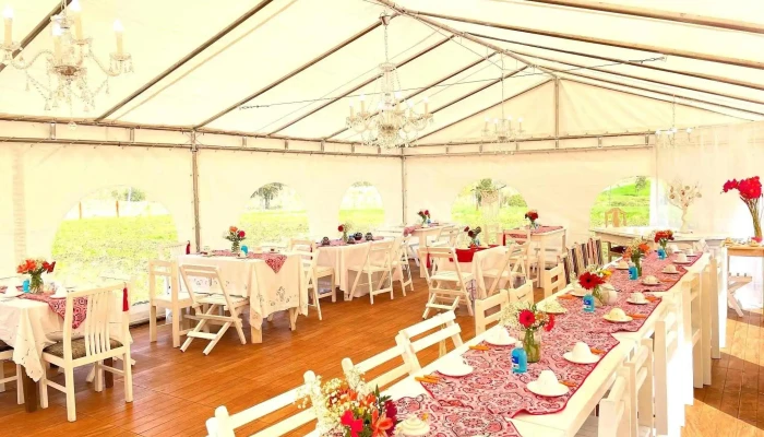 Los Nonos -  Ambiente - Las Piedras