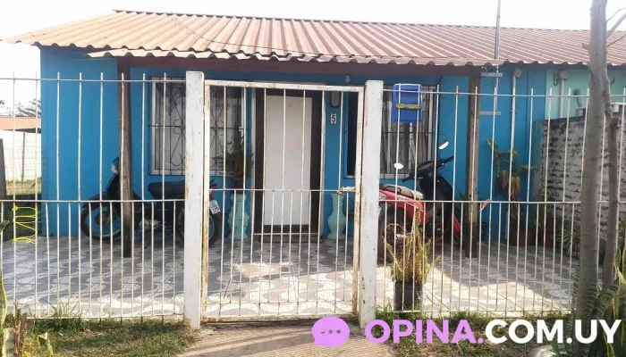 Los Olibos Familia Pintado Gomez -  Instagram - Bella Unión