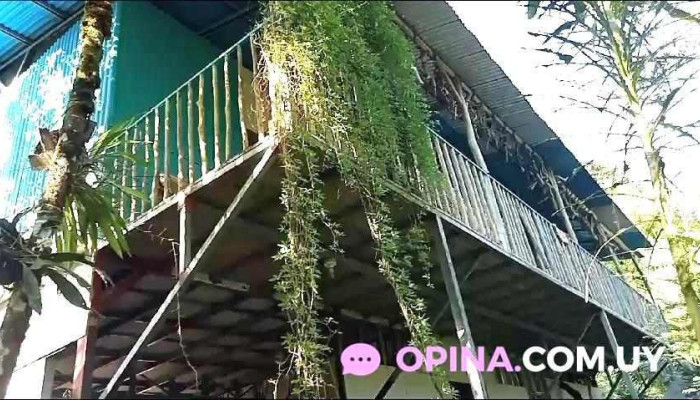 Los Paraisos -  De Los Visitantes - Montevideo