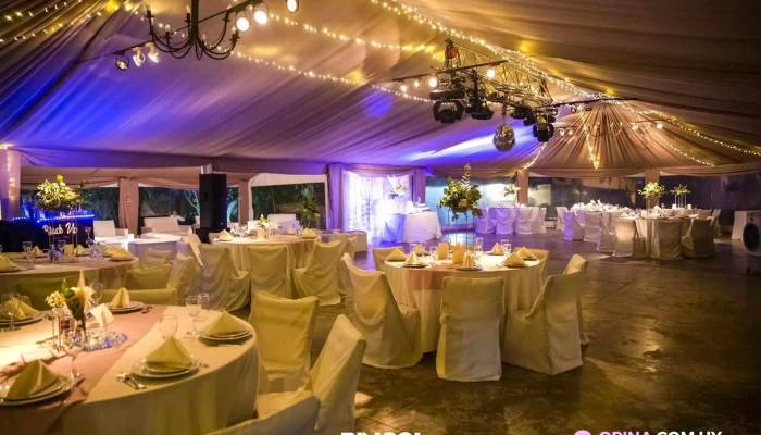 Los Tilos -  Todo - Libertad