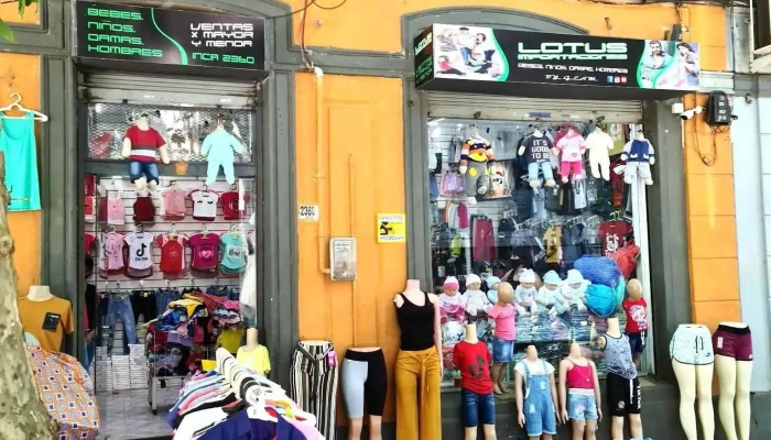 Lotus Importaciones Mayorista - 11800 Montevideo