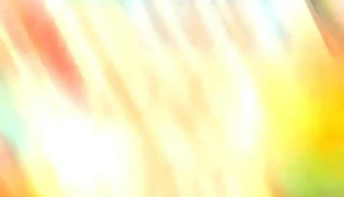 Love Personalizados -  Del Propietario - Pan de Azúcar