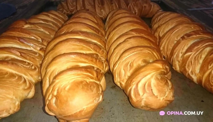 Luz Floral -  Del Propietario - Las Piedras