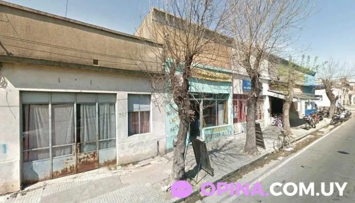 M. Molaguero Bienes Raíces - Florida