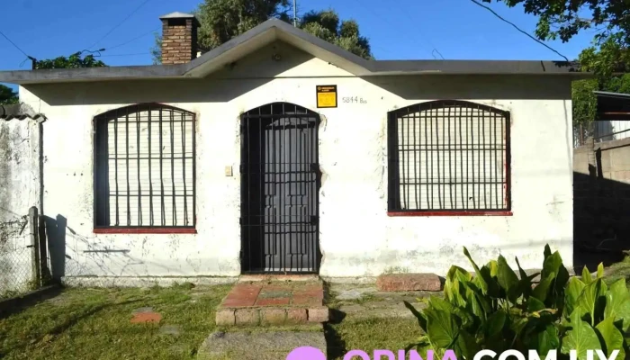 M Trade Group Negocios Inmobiliarios -  Del Propietario - Montevideo