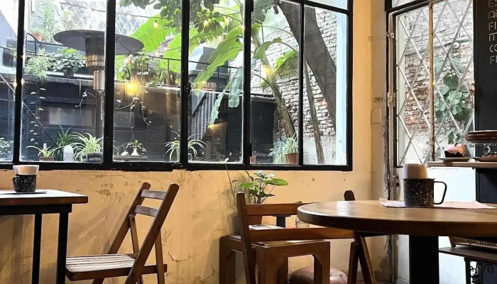 Macoco Cafe Recientes - Montevideo