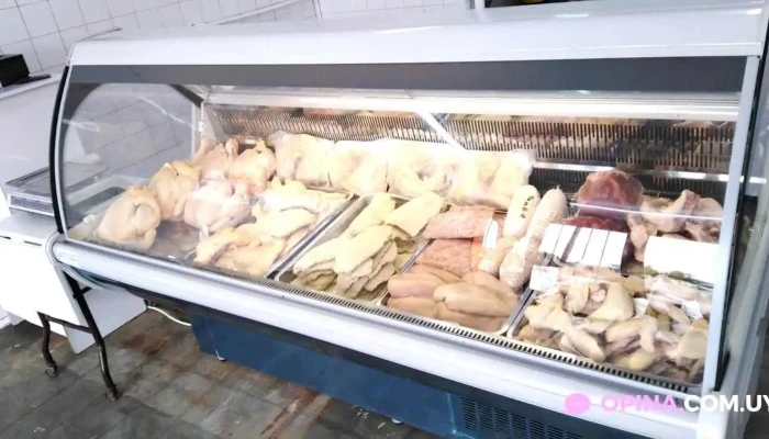 Macondo -  Todas - San José de Mayo