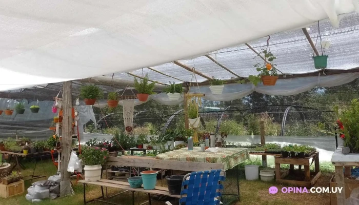 Madre Cuenca -  Ambiente - Paysandú