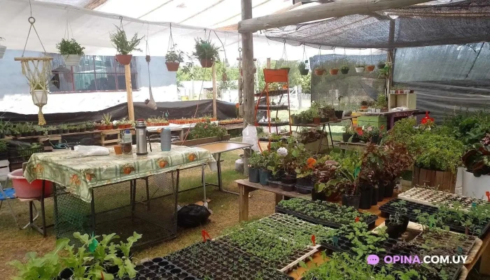 Madre Cuenca -  Todas - Paysandú