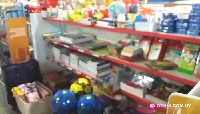 Majo Srl -  Videos - Mariscala