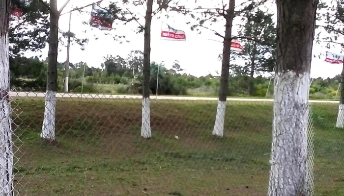 Makro Chui Comentario 9 - Chui