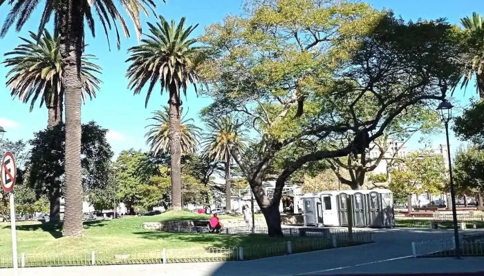 Maldonado Centro -  Todo - Maldonado