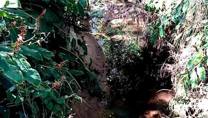 Maldonado Uruguay Melvin Jones -  Videos - Maldonado