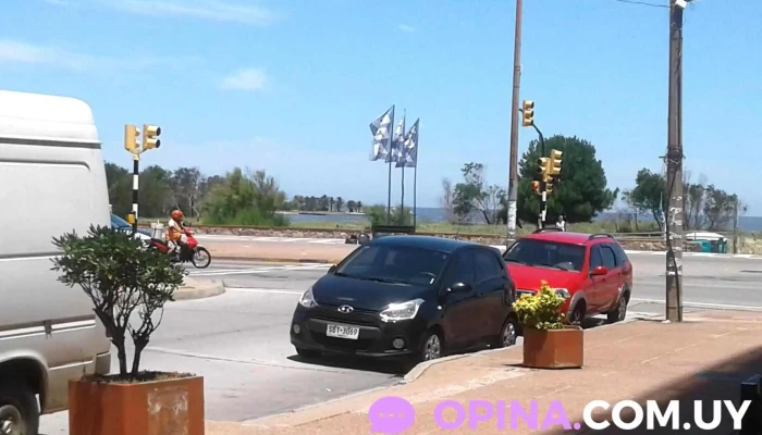 Malet Consultorio Veterinario - 11400 Montevideo