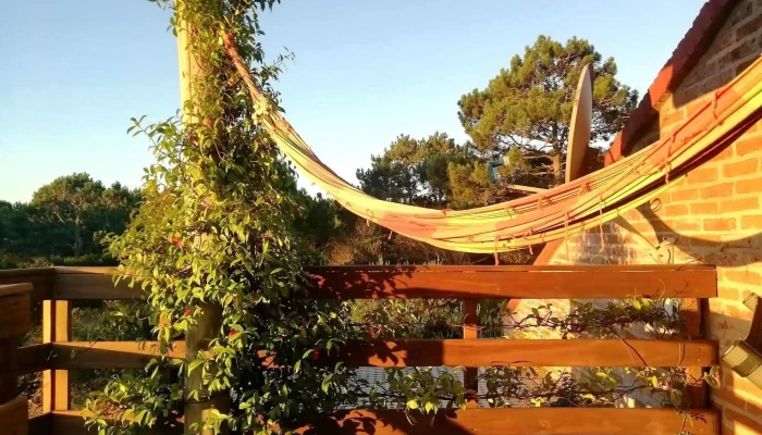 Malta Homestay -  Todas - Arenas de José Ignacio