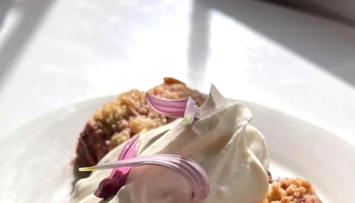 Malva -  Comentario 3 - Maldonado