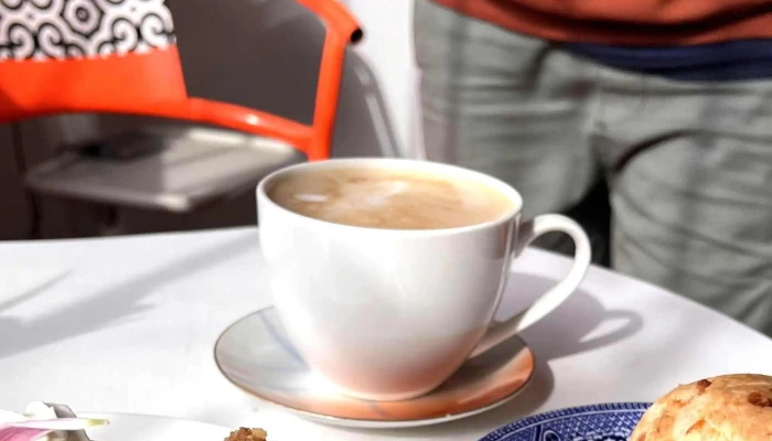 Malva -  Comentario 4 - Maldonado