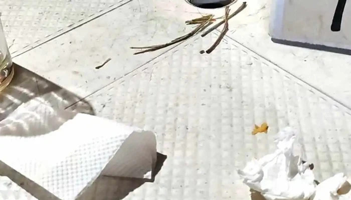 Mama Mia Pizzeria -  Videos - Tacuaremb&oacute;