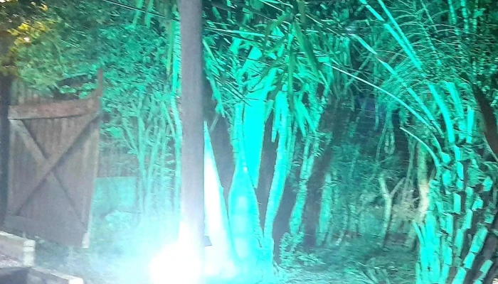 Mandrake Beer House -  Comentario 6 - Marindia