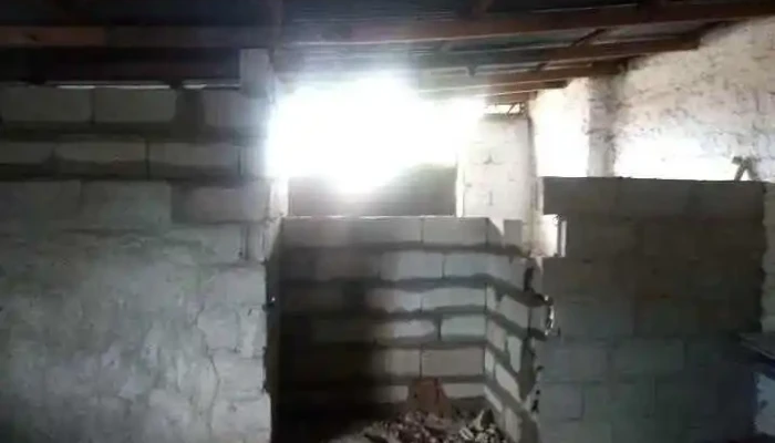 Manga -  Videos - Montevideo