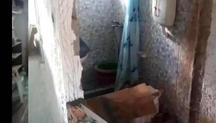 Manga -  Videos - Montevideo