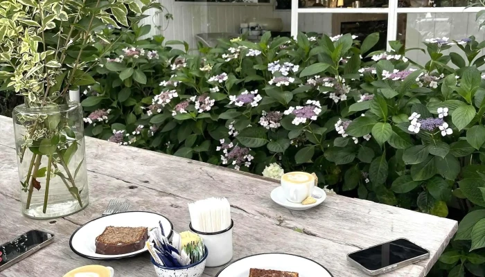 Manon De Manantiales -  Comentario 3 - Manantiales