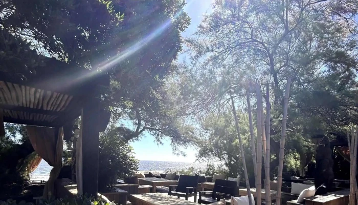 Mansa Beach Club -  Comentario 9 - Punta del Este