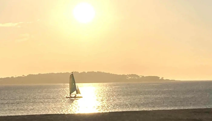 Mar De Fondo -  Comentario 3 - Punta del Este