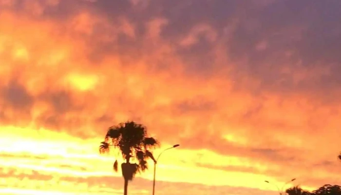 Mar Del Plata Hotel -  Montevideo De Los Visitantes - Montevideo