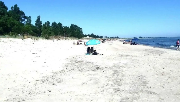 Marcelo Meneses Negocios Inmobiliarios -  Descuentos - San José de Mayo